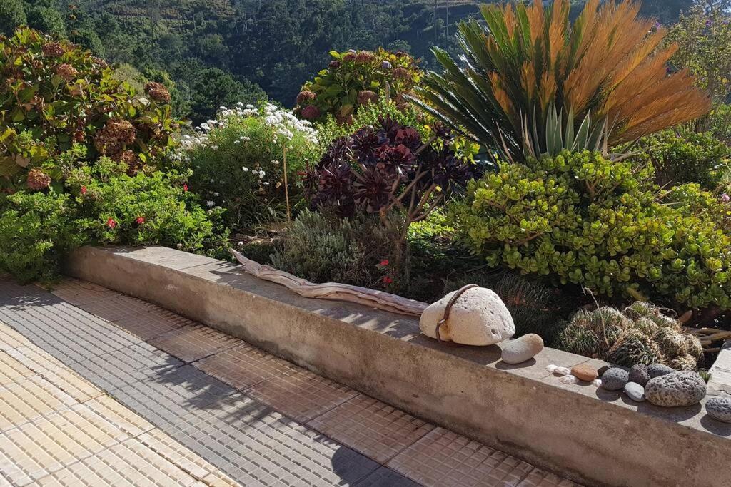 Raposeira De Sao Joao, The Feeling Of Peace, Space And Quiet, Whole Villa Is Yours Fajã da Ovelha Exterior foto