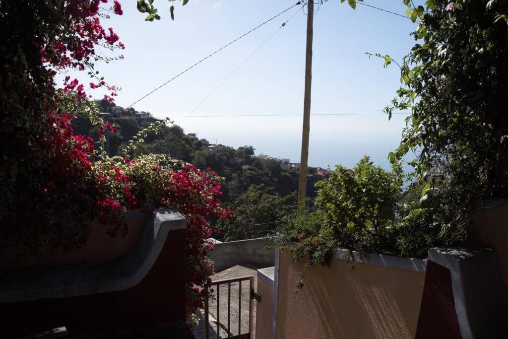 Raposeira De Sao Joao, The Feeling Of Peace, Space And Quiet, Whole Villa Is Yours Fajã da Ovelha Exterior foto
