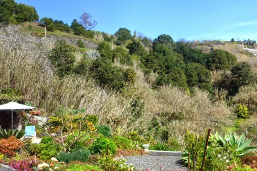 Raposeira De Sao Joao, The Feeling Of Peace, Space And Quiet, Whole Villa Is Yours Fajã da Ovelha Exterior foto